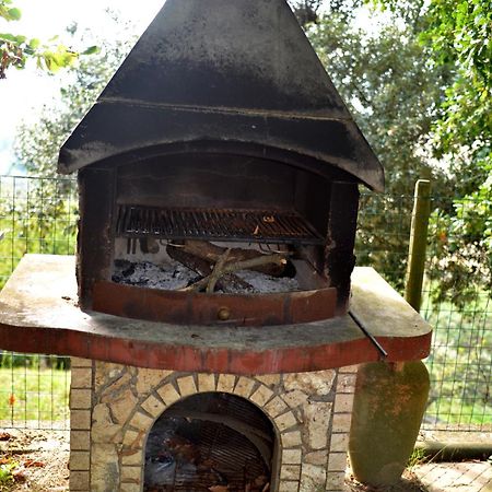 Agriturismo Podere Biancospino Piscina Privata Chianciano Terme Εξωτερικό φωτογραφία